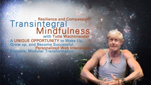 Transintegral-Mindfulness